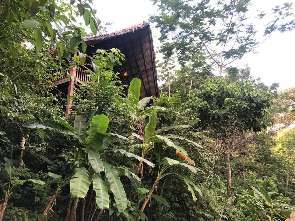 Black Rock Lodge San Ignacio Exterior photo